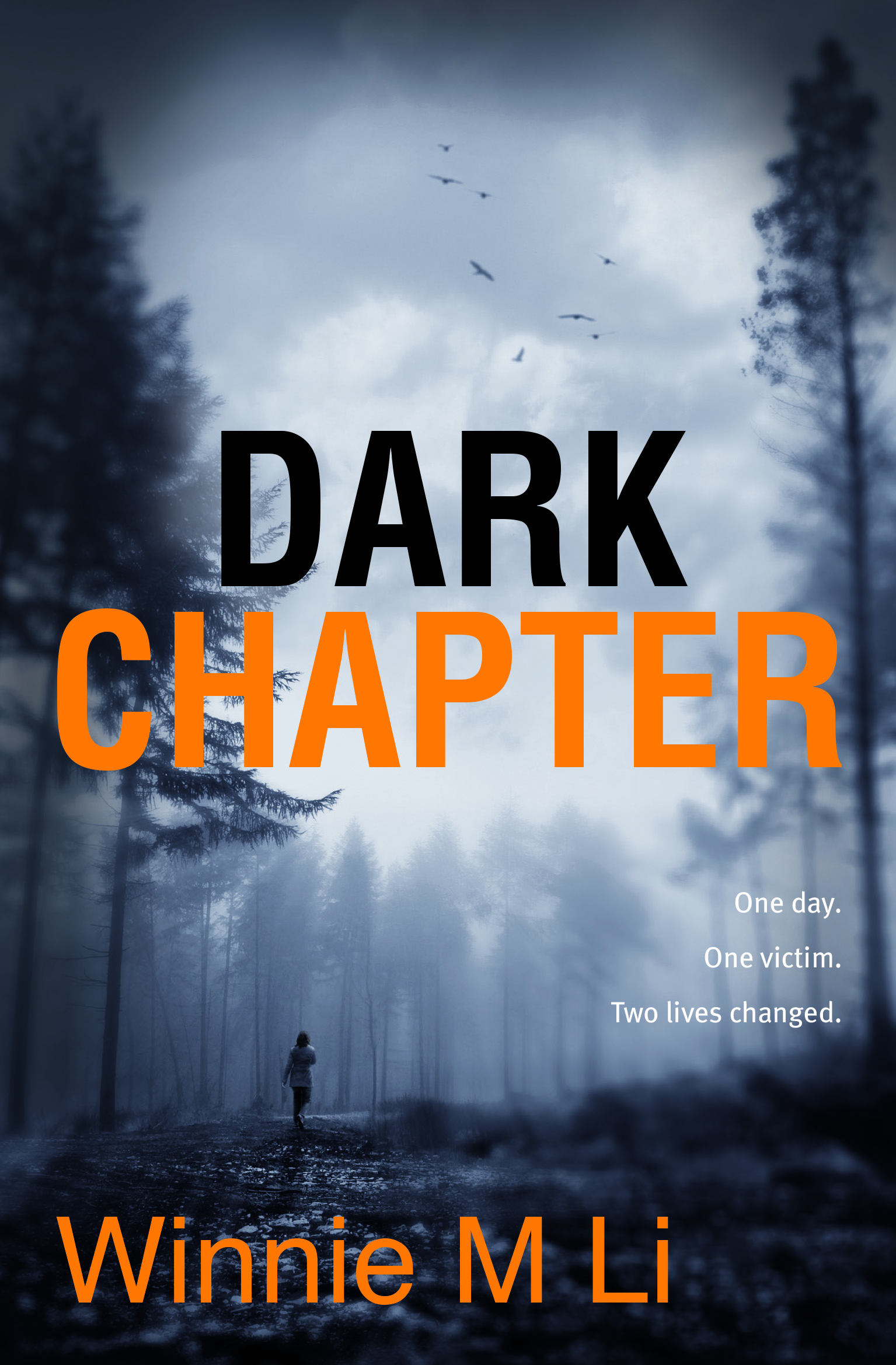 Dark-Chapter-by-Winnie-M-Li-_-Legend-Press
